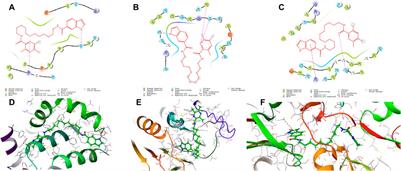 Synthesis and Discovery of Ligustrazine–Heterocycle Derivatives as Antitumor Agents